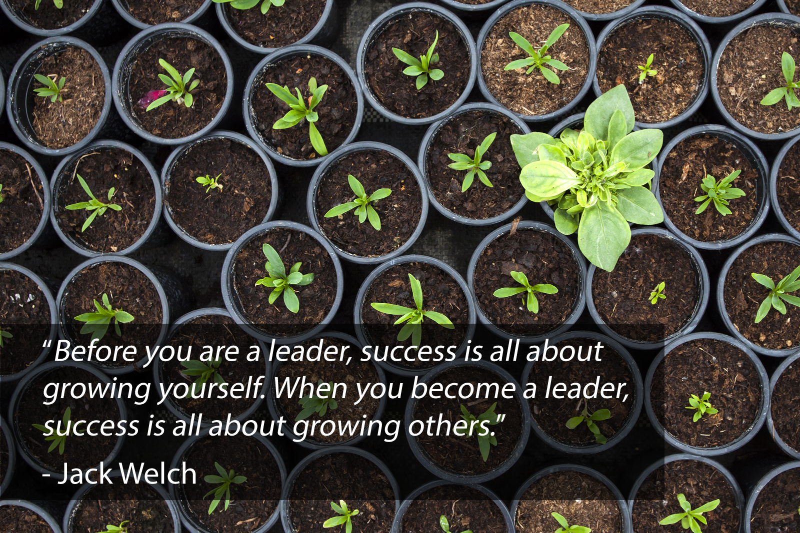 From Entrepreneur to Growth Accelerator: Supporting Leaders, Scaling Companies